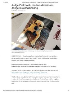 thumbnail of 2018- 11-8 Judge Piotrowski renders decision in dangerous dog hearing _ Cheektowaga Chronicle