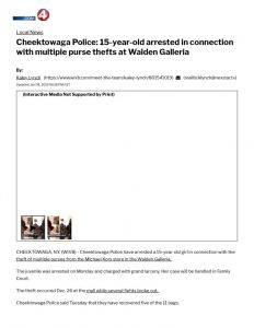 thumbnail of 2019- 01-07 Cheektowaga Police_ 15-year-old arrested in connection with multiple purse thefts at Walden Galleria