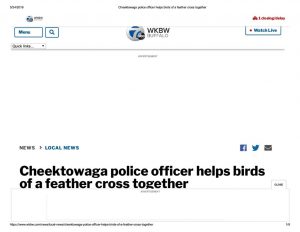 thumbnail of 2019- 05-02 Cheektowaga police officer helps birds of a feather cross together